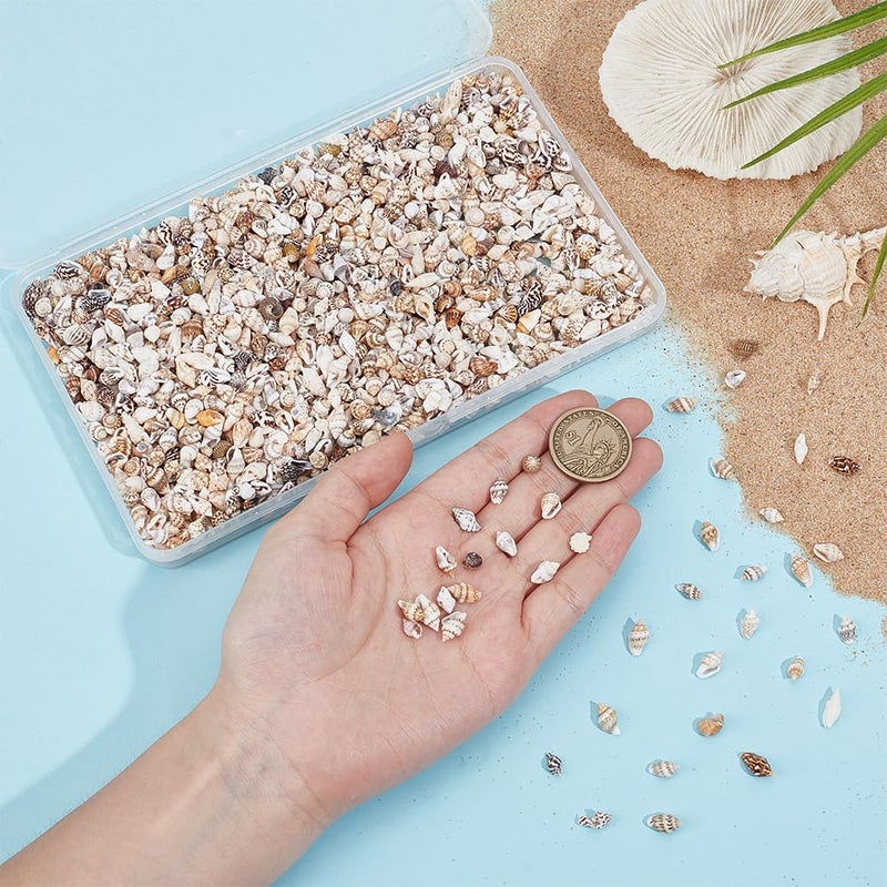PH PandaHall 1400-1500pcs Tiny Sea Shells 7-12mm Tiny Crushed Shells Miniature Shell NO Hole Seashells Ocean Spiral Seashells for Resin Crafting Candle Home Party Wedding Fish Tank Vase Filler - Image 2